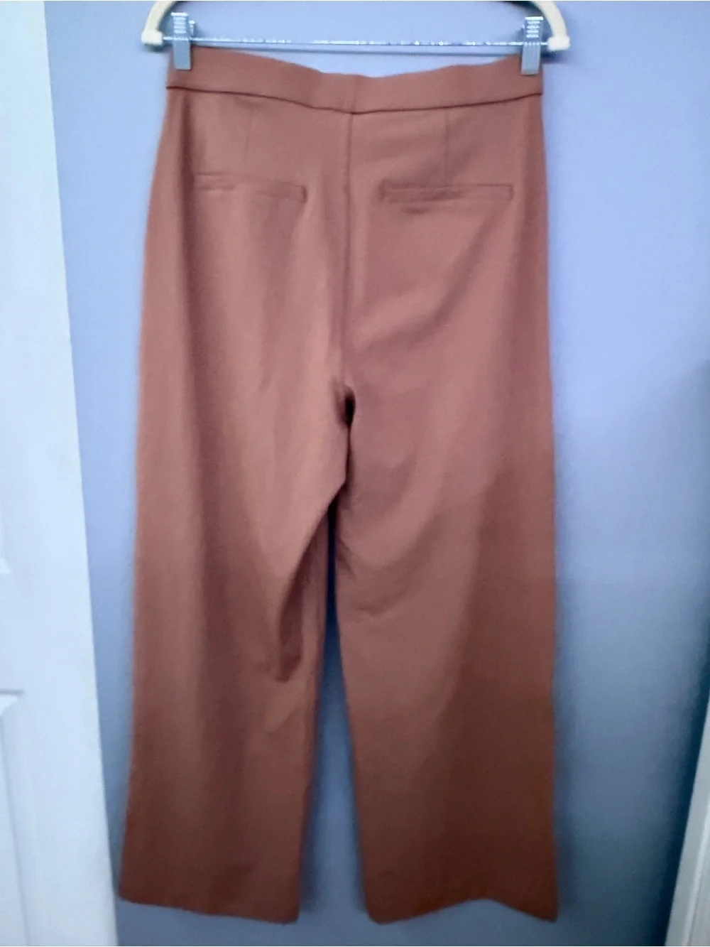 HALARA Trousers in Rust Brown - Picture 5 of 5